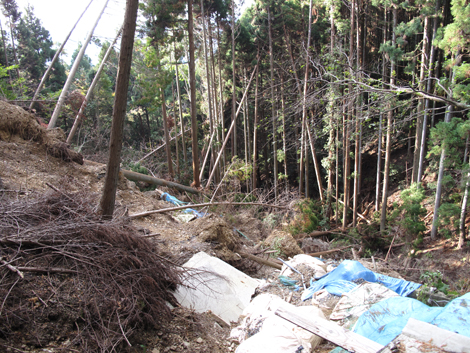 20131124hike (418)
